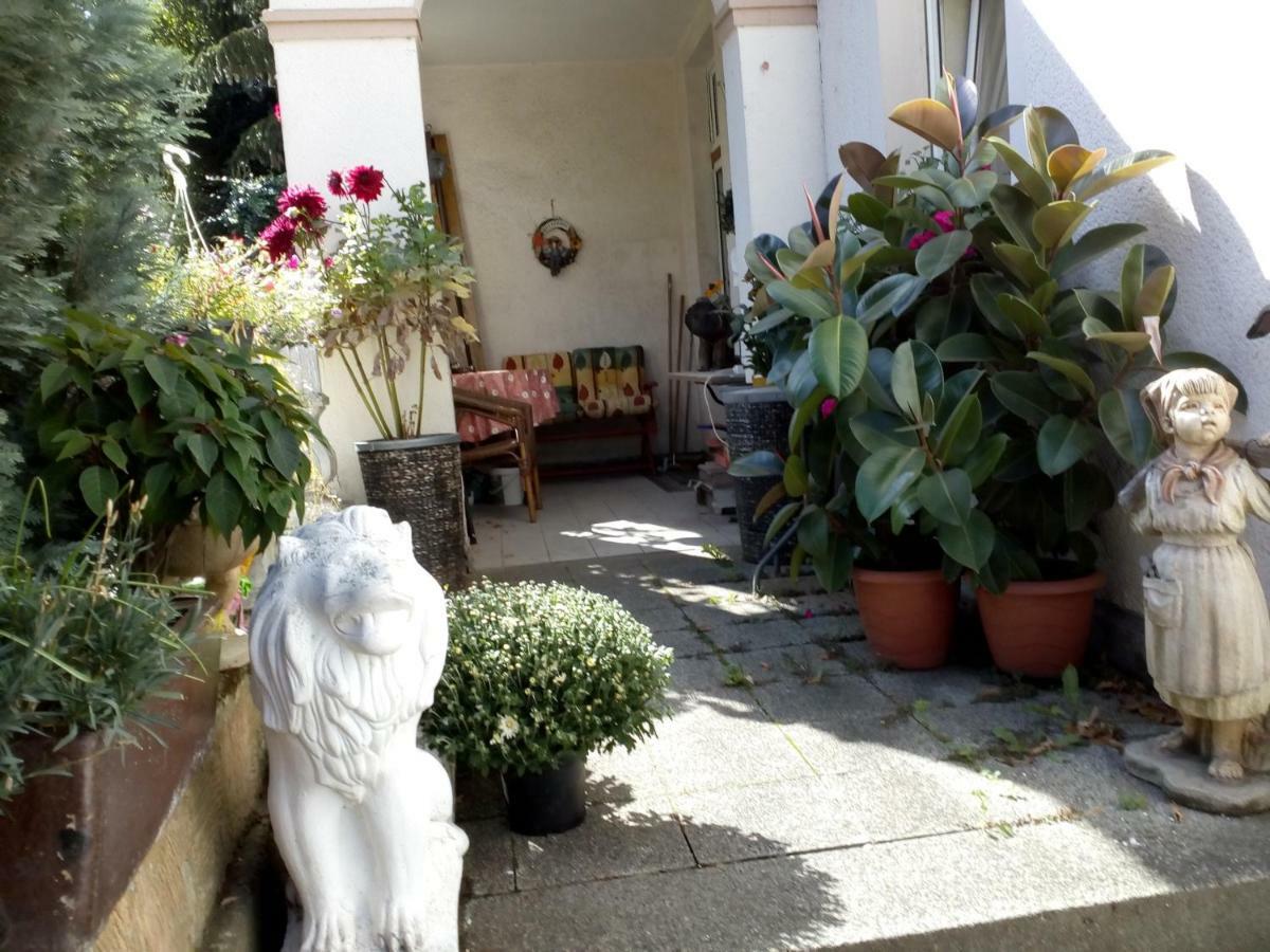 Dach-Studio-Runkel Schadecker Straße 6 Exterior foto
